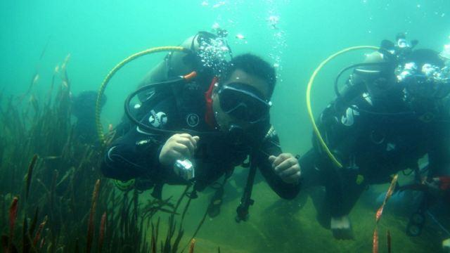 传奇3光通版丨元素玩法 经典回归 年末最后一个新区《纵横战区启动》